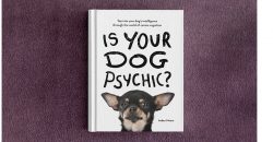 Is Your Dog Psychic?